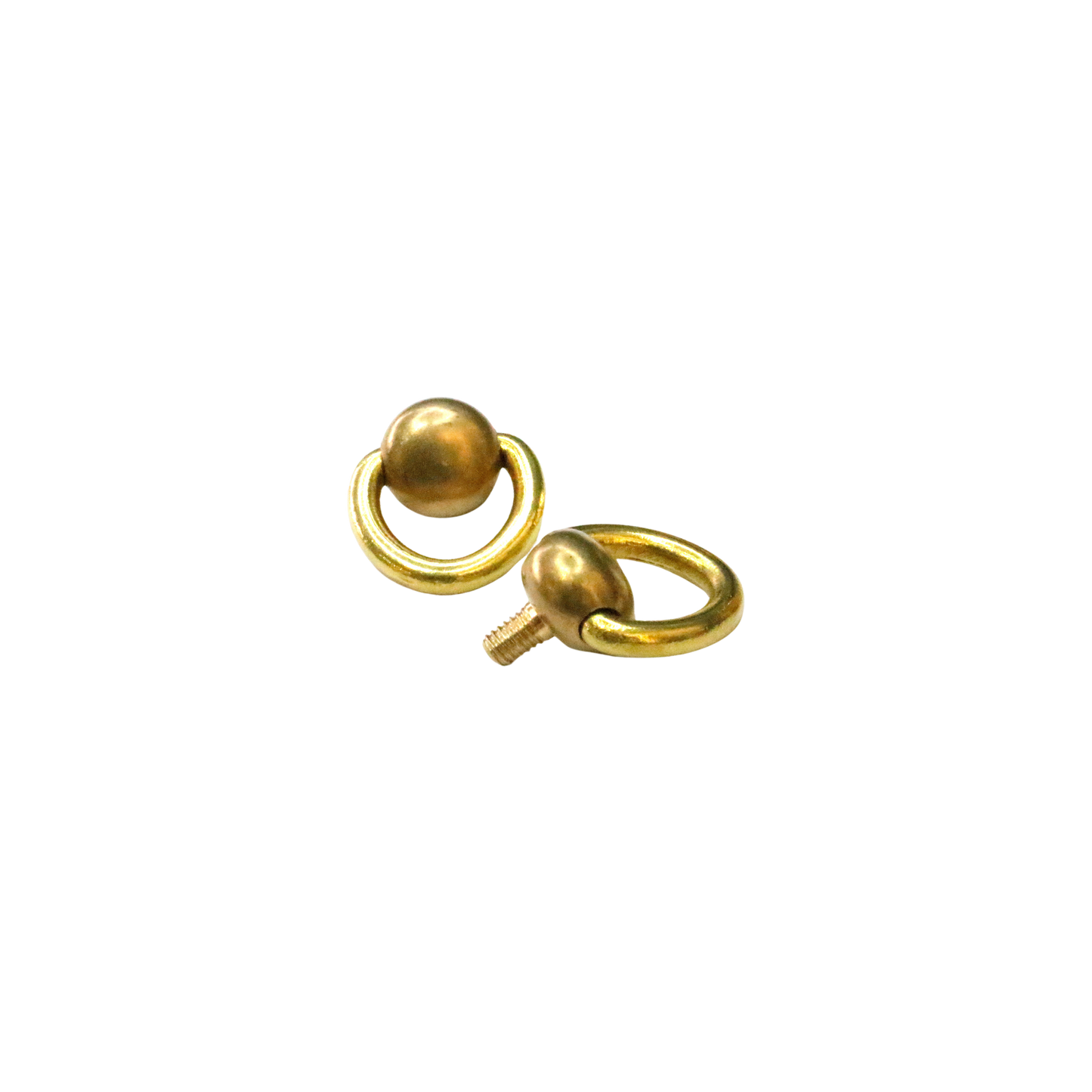 Accessories: D-rings Screws