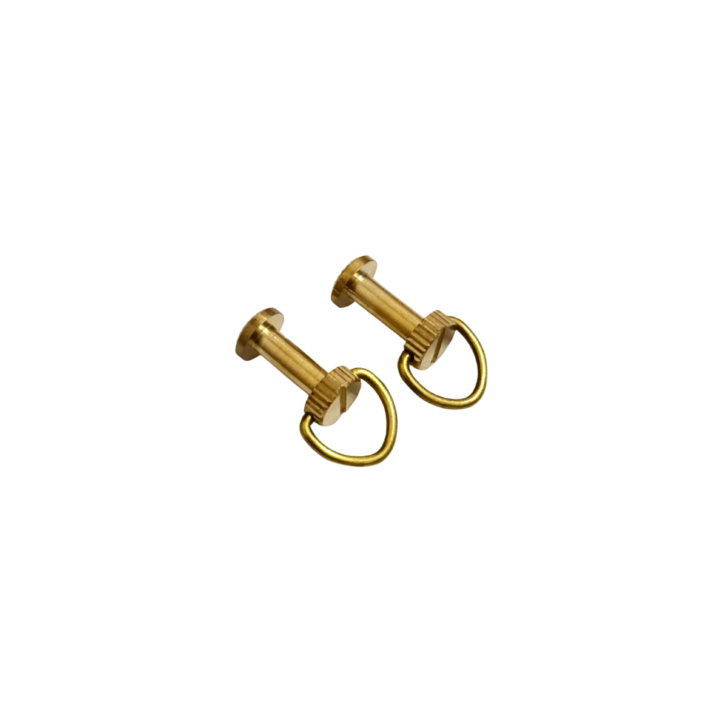 D-rings Screws