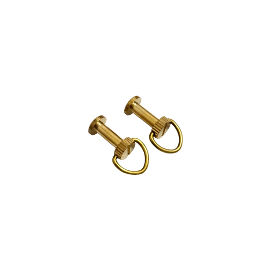 D-rings Screws
