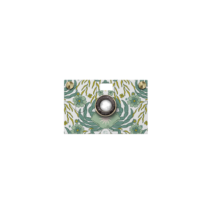 Horoscope Series Case