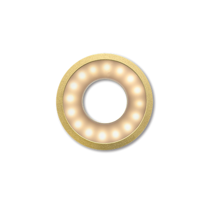 Accessories: Ring Light