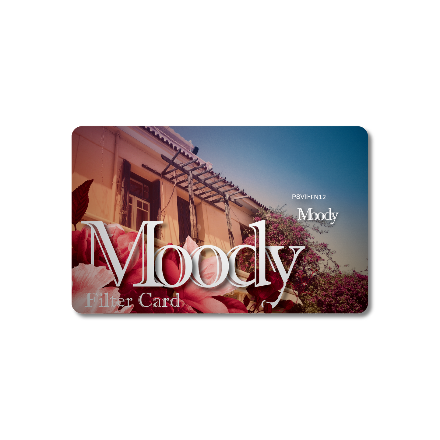 Accessories: Filter Card (Moody)