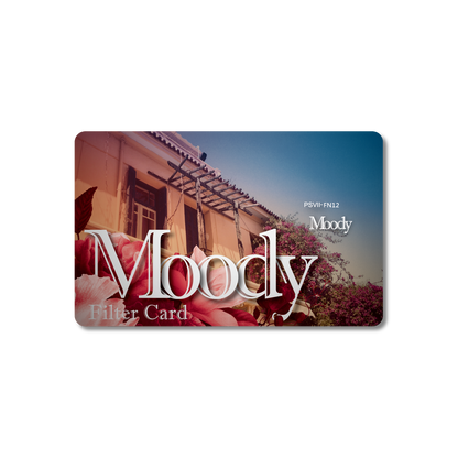 Accessories: Filter Card (Moody)